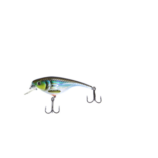 Westin BabyBite Crankbait Low Floating 6,5cm 12g - 5