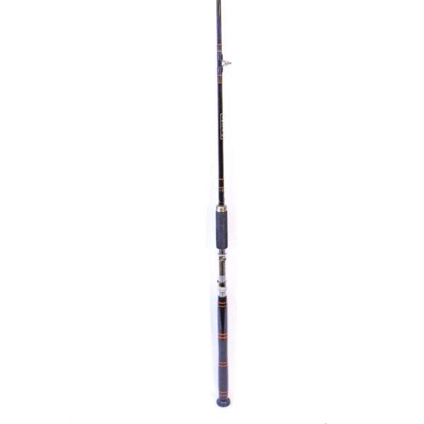 Elbe Omni 170cm