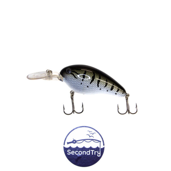 Livingstone - Dive Master 14 - Baby Bass